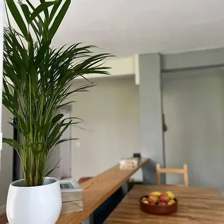 2 Palmeras
