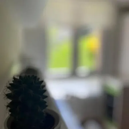 Appartamento 2 Palmeras